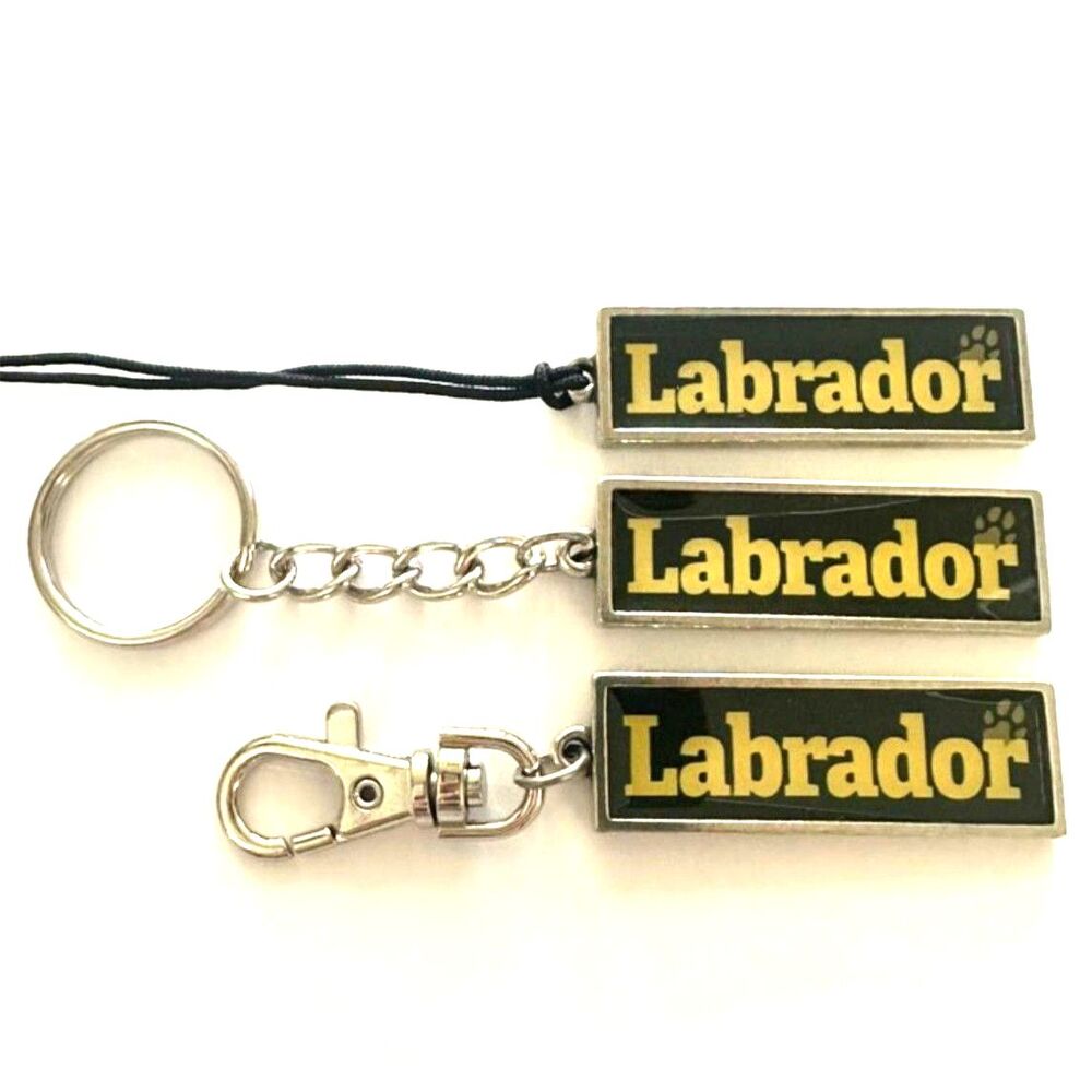 New 3pc I Love My Dog Labrador Keychain Necklace Set